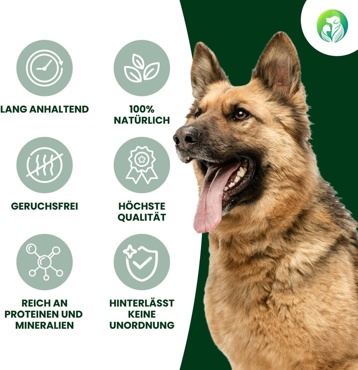 Hirschgeweih für Hunde - Die robuste Geweihstange als Kauspielzeug. EIN widerstandsfähiger Kauknoche