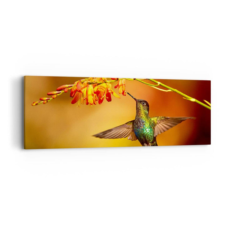 Panorama Bilder auf Leinwand Kolibri Vogel Sommer Leinwandbild 90x30cm Wandbilder Dekoration Wohnzim