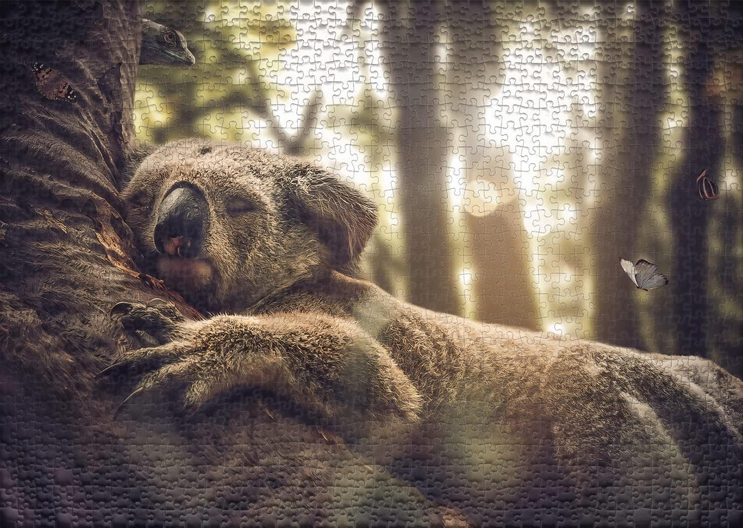 Ulmer Puzzleschmiede - Puzzle „Der Träumer“ - Koala startet gemütlich in den Tag - Angenehmes 1000 T