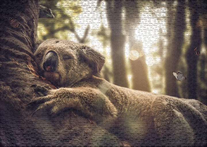 Ulmer Puzzleschmiede - Puzzle „Der Träumer“ - Koala startet gemütlich in den Tag - Angenehmes 1000 T