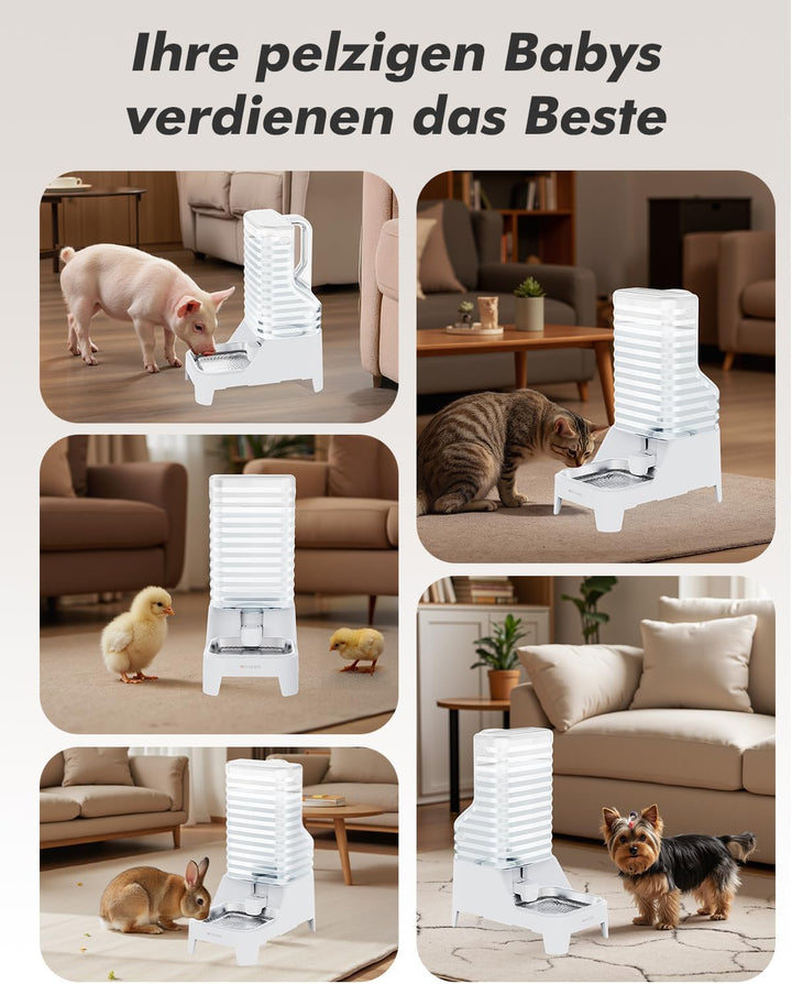 6L Wasserspender für Hunde und Katzen mit patentiertem Wasserhahn, wasserspender Katze mit Filter,ve
