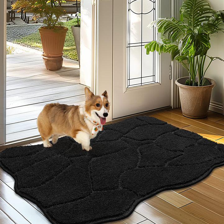 Fussmatte Innen Weicher 60 x 90 cm, rutschfeste Waschbar Türmatte Schwarz, Schmutzfangmatte Sauberla