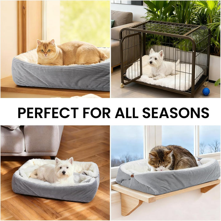 Weiches Katzenbett Waschbar 75x50 cm Plüsch Haustierbett für Kleine Hunde und Katzen - 2 in 1 Katzen