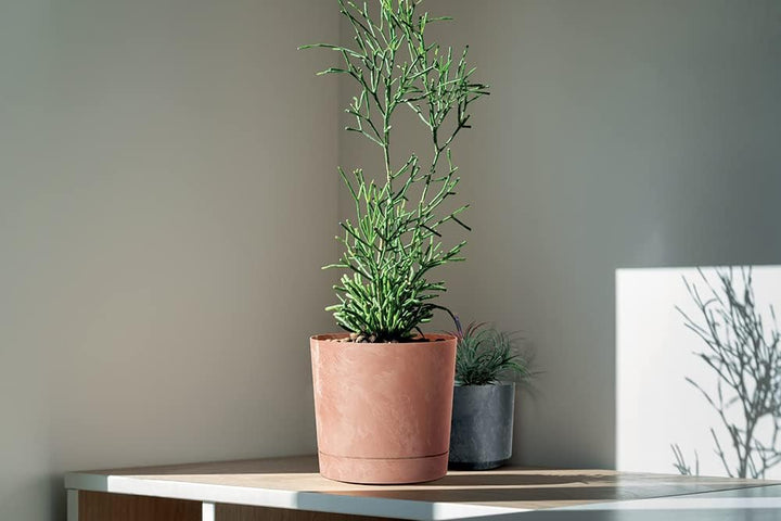 Tymar Blumentopf mit Untersetzer, 2er-Pack, dekorativer Pflanzentopf aus Kunststoff, Moderne, Runde