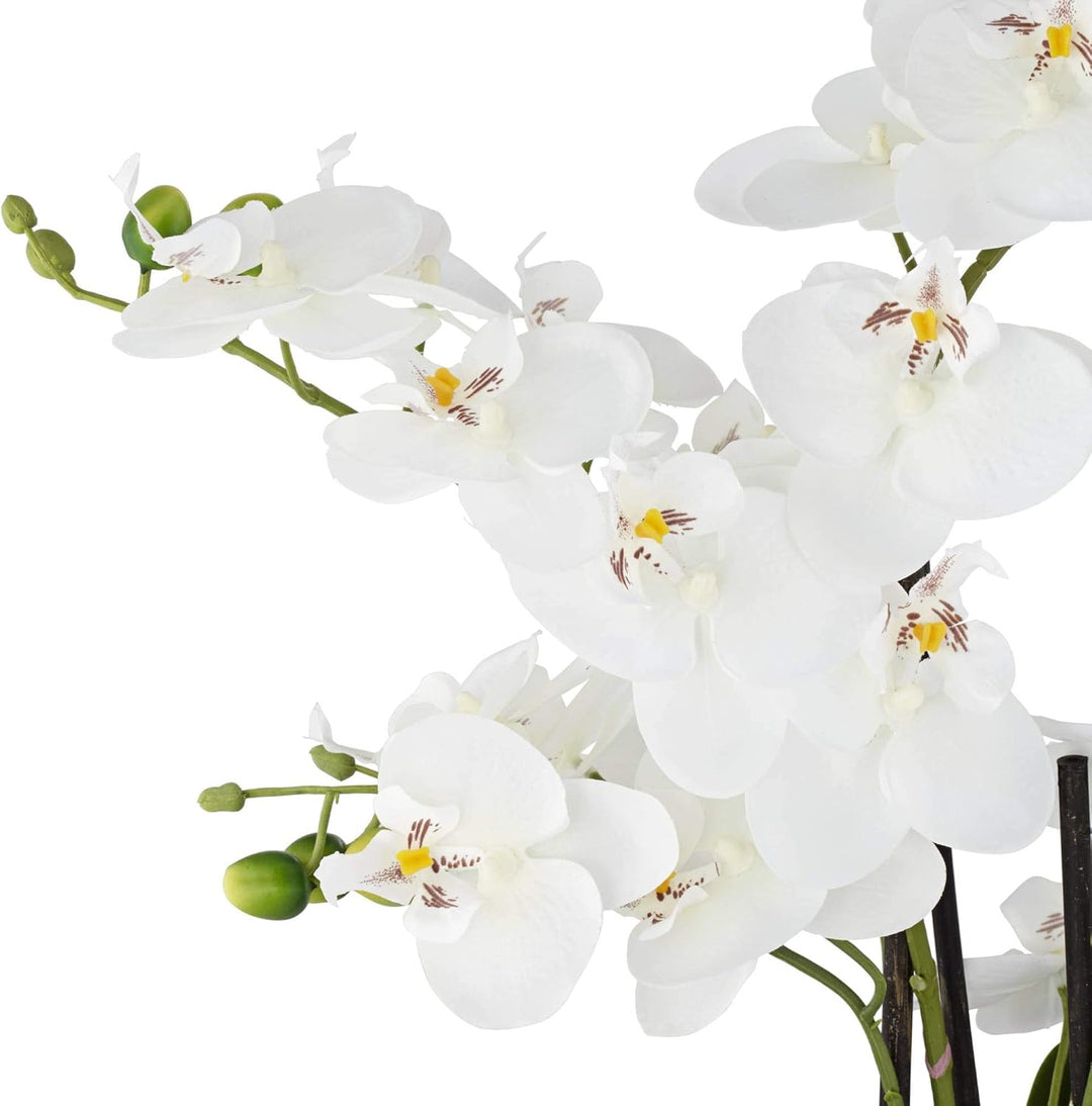 Dahlia Studios Kunstpflanze Orchidee Phalaenopsis mit silber-farbigem Keramiktopf - ca. 53cm hoch (w