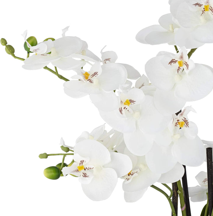 Dahlia Studios Kunstpflanze Orchidee Phalaenopsis mit silber-farbigem Keramiktopf - ca. 53cm hoch (w