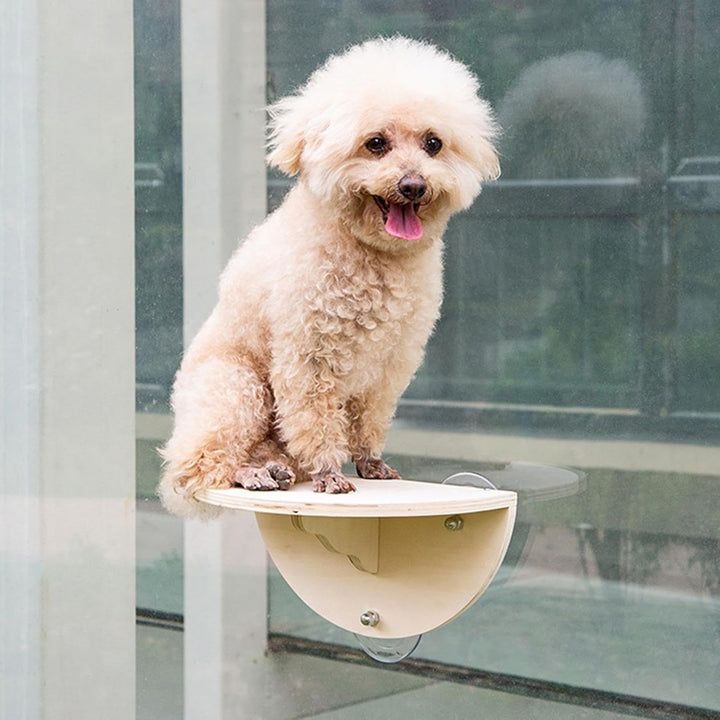 Katzen Fensterplätze, Fensterliege Für Katzen, Katzenhängematte Katzen Hängematte Fenster Mit 3 Saug