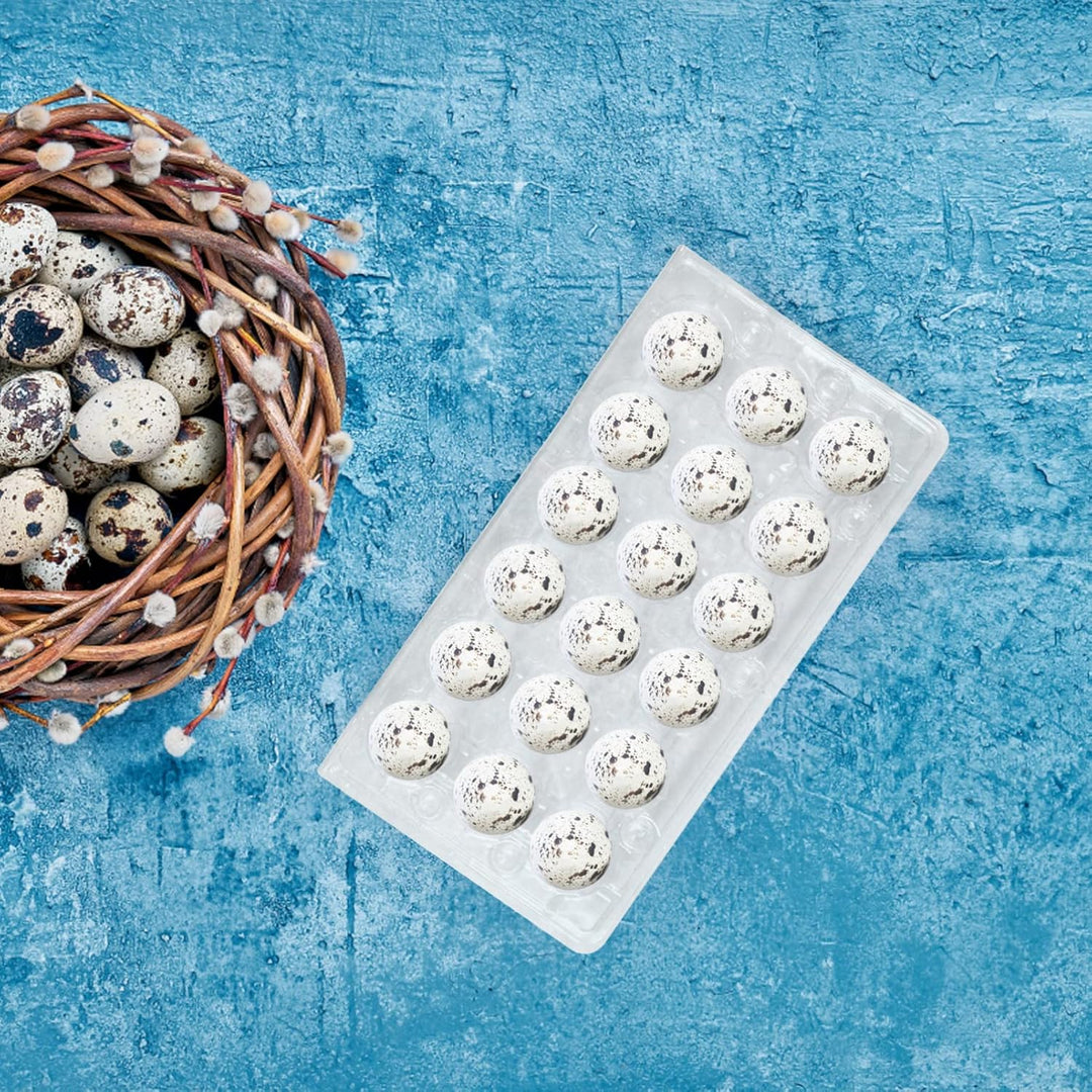 HEMOTON 50 Stücke 18 Gitter Wachtelei Aufbewahrungsbox Transparent Ei Spender Halter Fall Kühlschran