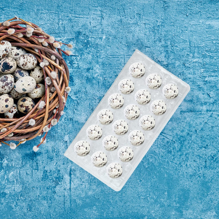 HEMOTON 50 Stücke 18 Gitter Wachtelei Aufbewahrungsbox Transparent Ei Spender Halter Fall Kühlschran