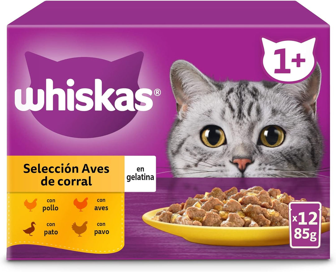 Whiskas Nassfutter für Erwachsene Katzen Auswahl Vögel in Gelatine Multipack (4 x 12 Beutel x 85 g)