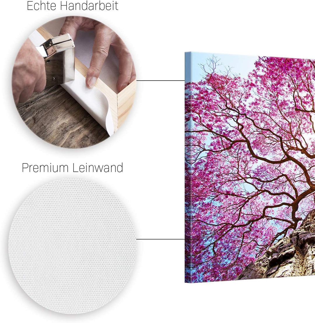 ge Bildet Bild auf Leinwand | Rosa Lapacho Baum in Pocone - Brasilien - Natur Baum Pink Lila in 70x5
