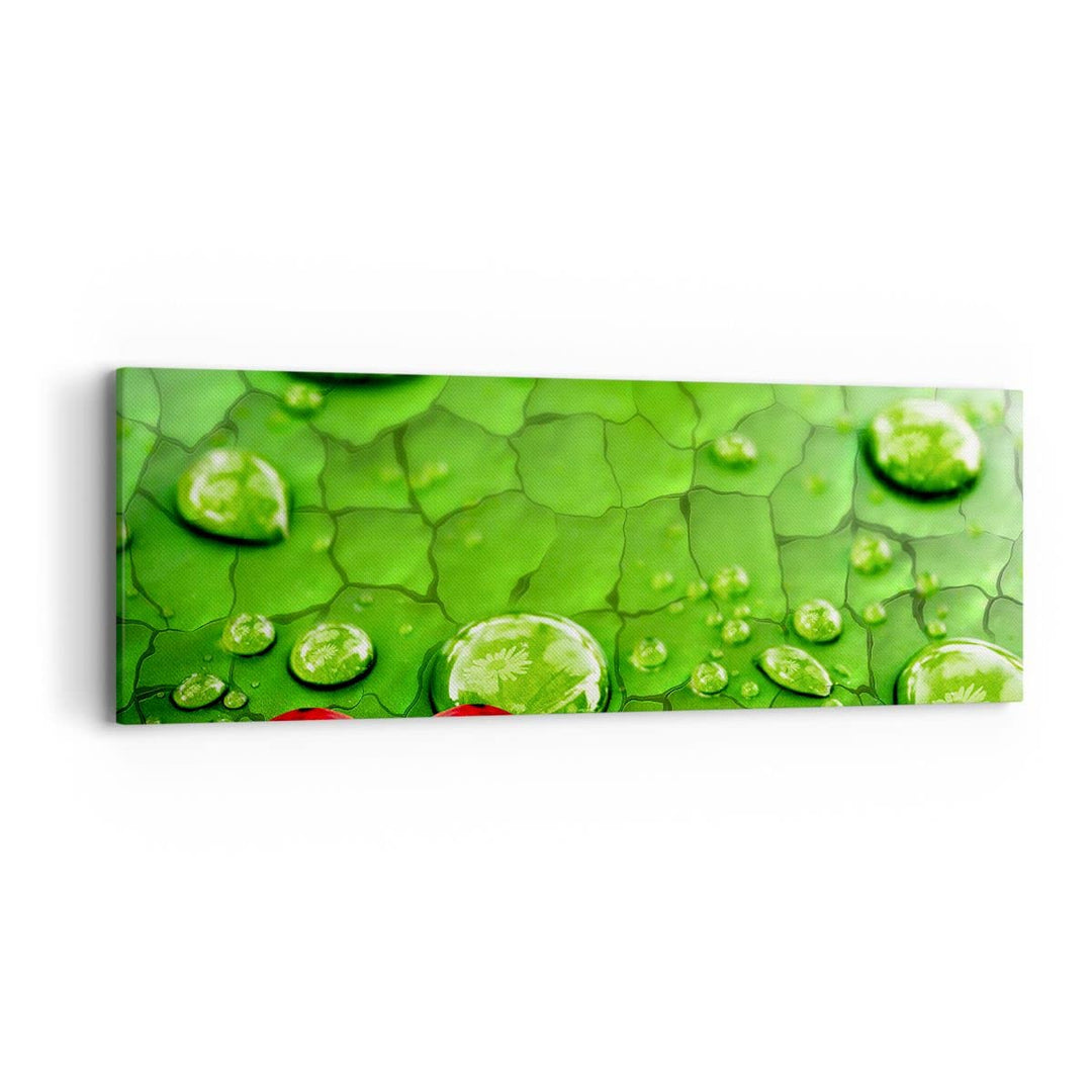 Panorama Bilder auf Leinwand Marienkäfer Gras Blatt Tropfen Leinwandbild 90x30cm Wandbilder Dekorati