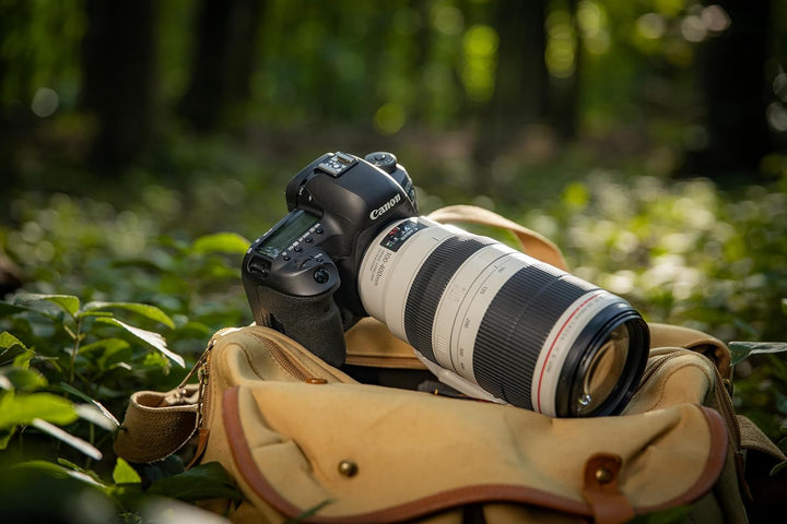 Canon EF 100-400mm F4.5-5.6L is II USM Telezoom-Objektiv (77mm Filtergewinde) schwarz Single, Single