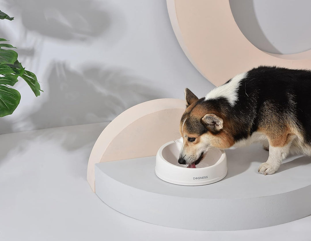 DOGNESS Travel Bowl Reise-Napf – Doppelfunktion zum Trinken und Füttern, versteckter Wasserspeicher,