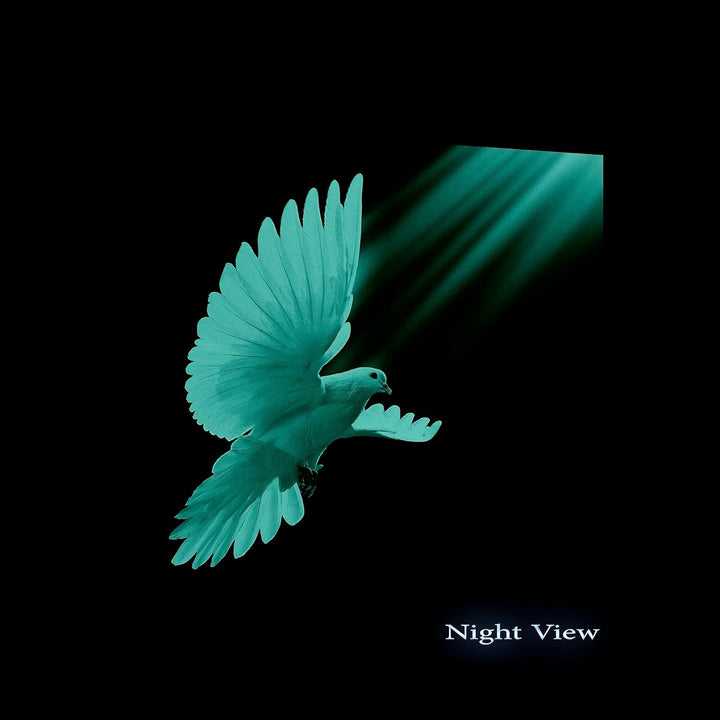 Startonight Bilder Weisse Tauben, Leinwandbilder Moderne Kunst, Tiere Wanddeko Kunstdrucke, Wandbild