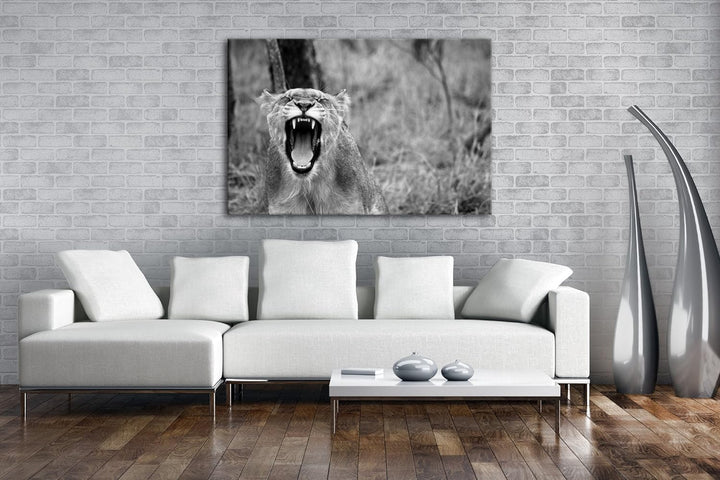 deyoli brüllende Löwin Effekt: Schwarz/Weiss Format: 80x60 als Leinwandbild, Motiv fertig gerahmt au