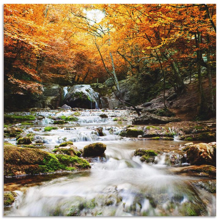 ARTland Wandbild Alu Verbundplatte für Innen &amp; Outdoor Bild 40x40 cm Herbst Landschaft Natur Wald Wa