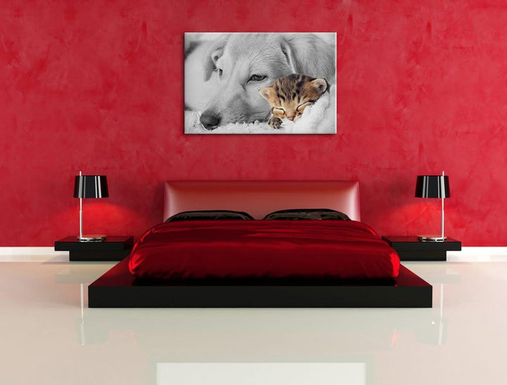 Pixxprint Träumendes Kätzchen neben Hund als Leinwandbild/Grösse: 100x70 cm/Wandbild/Kunstdruck/fert