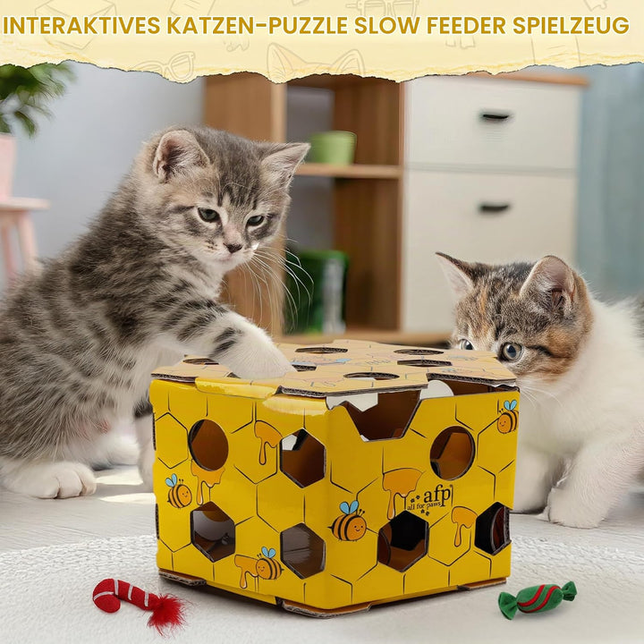 ALL FOR PAWS Katzen-Futter-Spielzeug, Interaktive Leckerli-Spielbox für Katzen, Futterlabyrinth-Box