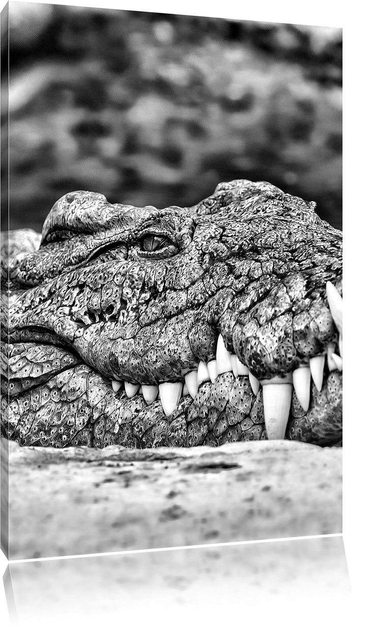 Pixxprint gigantisches Krokodil als Leinwandbild/Grösse: 100x70 / Wandbild/Kunstdruck/fertig bespann