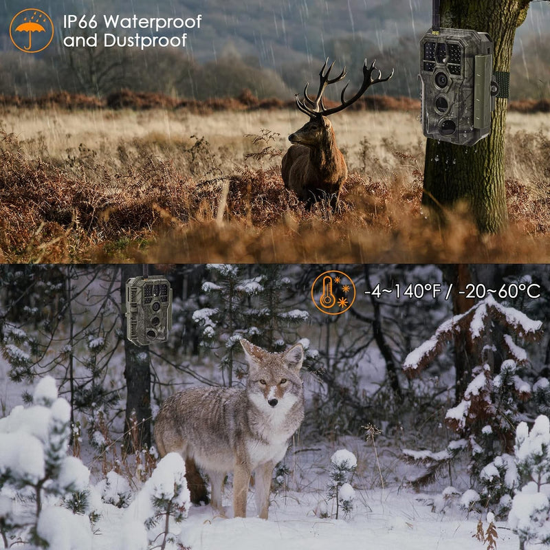 WLAN Wildkamera WiFi Wildtierkamera Nachtsichtkamera Fotofalle 32MP 1296P Verbinden druch APP Blueto