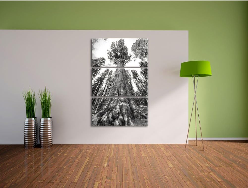 Pixxprint Mammutbaum im Regenwald als Leinwandbild - Grösse: 3-Teilig (120x80cm) - Wandbild - Kunstd