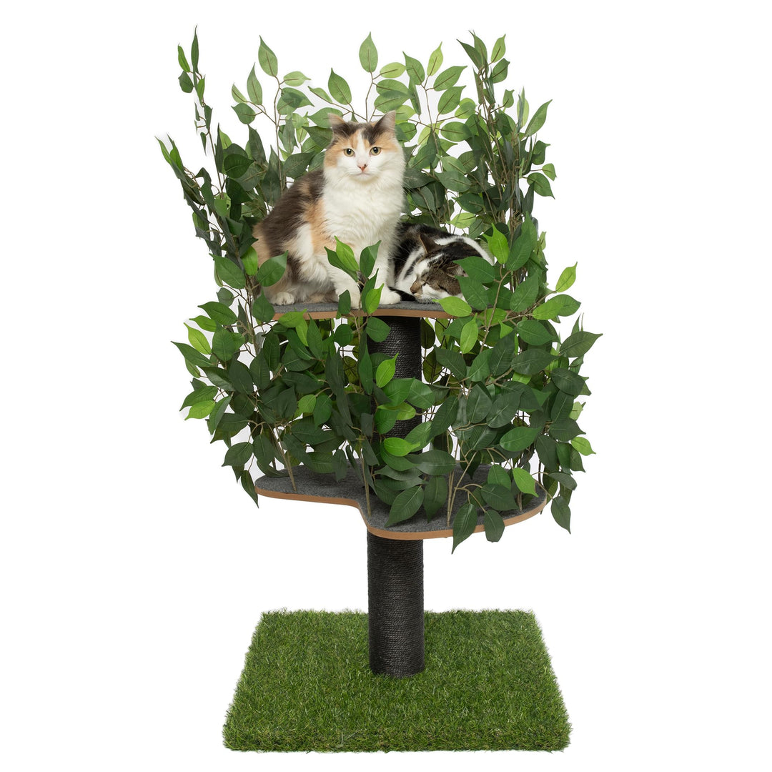 Kratzbaum Natur zum Klettern, Verstecken und Schlafen - gross mit austauschbaren Blättern - einfach