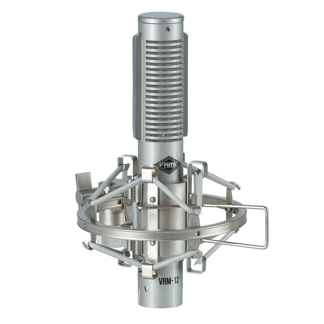 Fame Audio Pro Series VRM-12, Bändchenmikrofon in Silber, Richtcharakteristik Acht, XLR 3 Pol Anschl