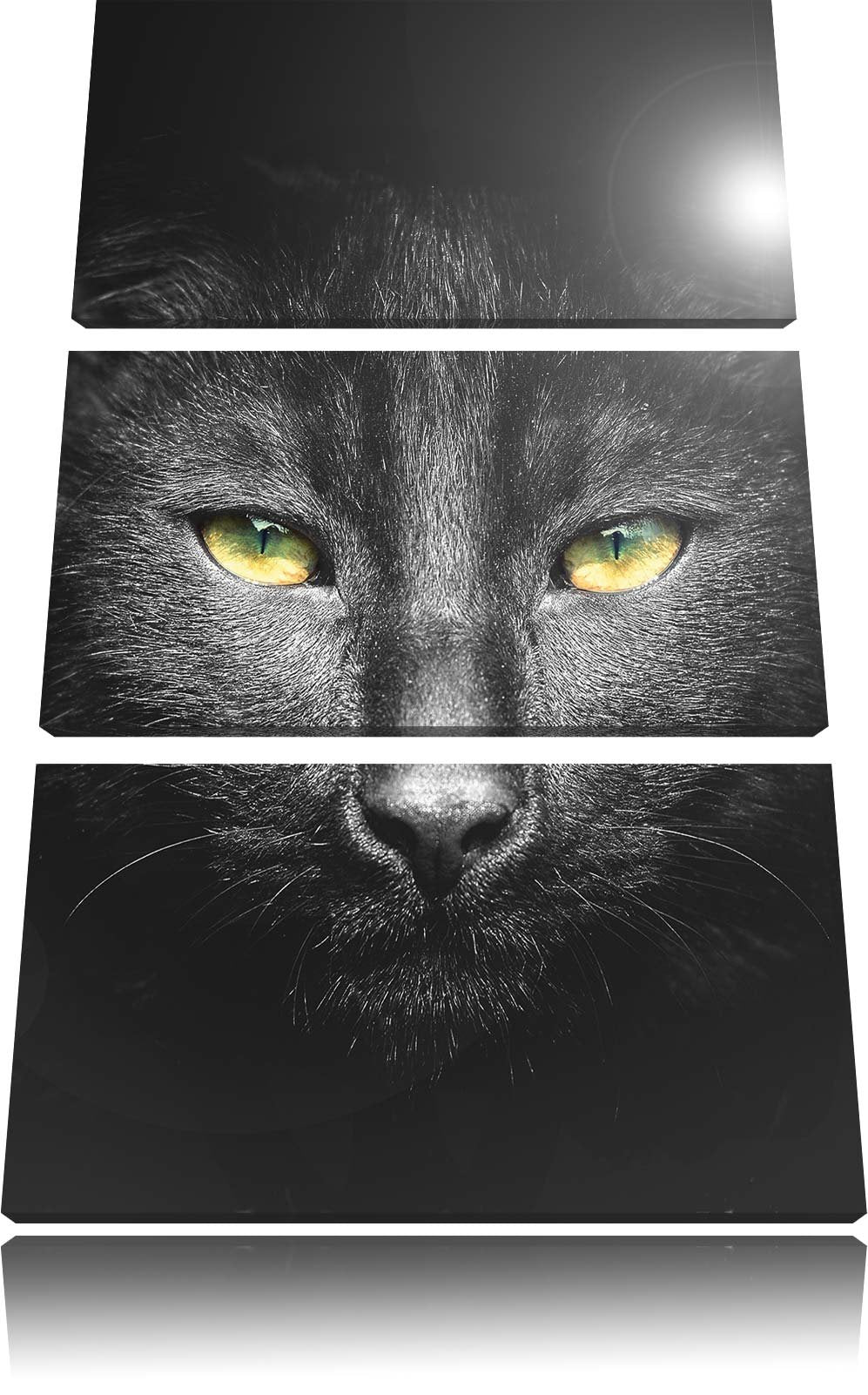 Pixxprint Katzenkopf mit düsterem Hintergrund schwarz/weiss als Leinwandbild/Grösse: 3 Teilig (120x8
