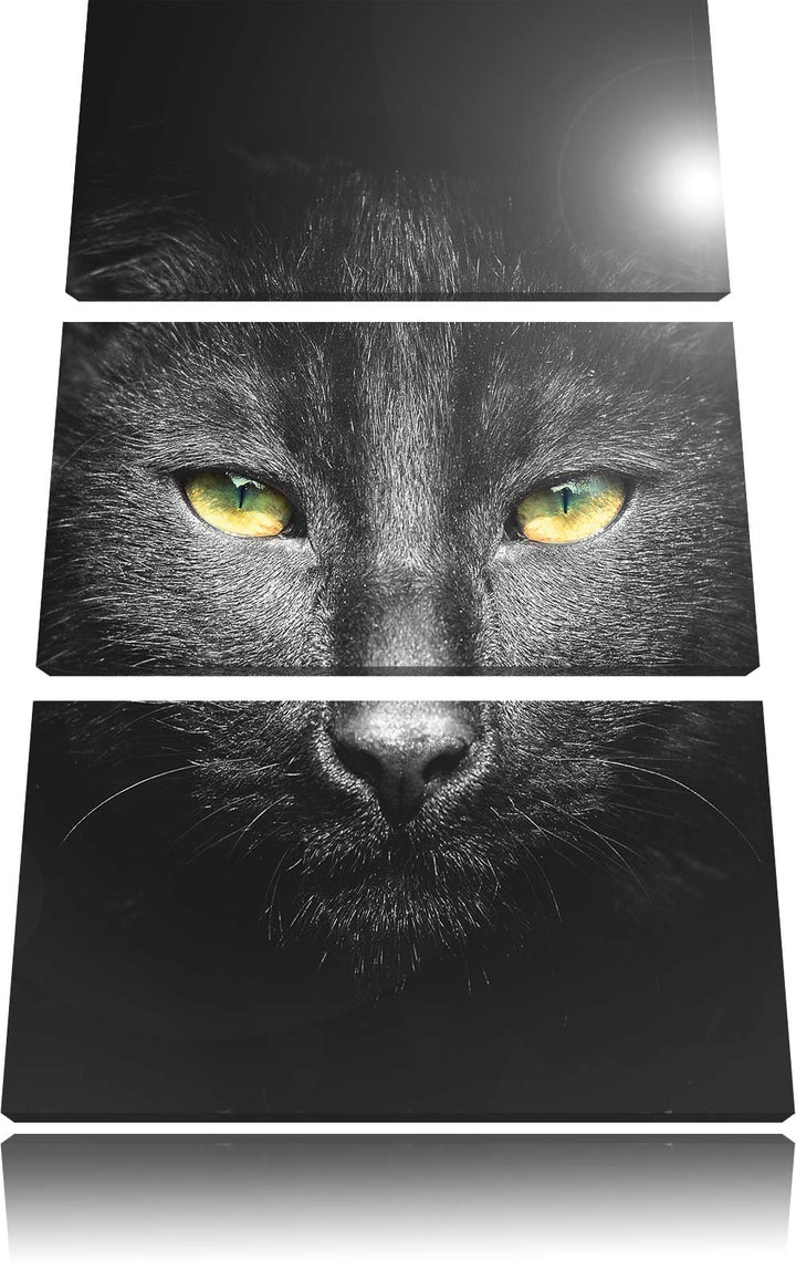 Pixxprint Katzenkopf mit düsterem Hintergrund schwarz/weiss als Leinwandbild/Grösse: 3 Teilig (120x8