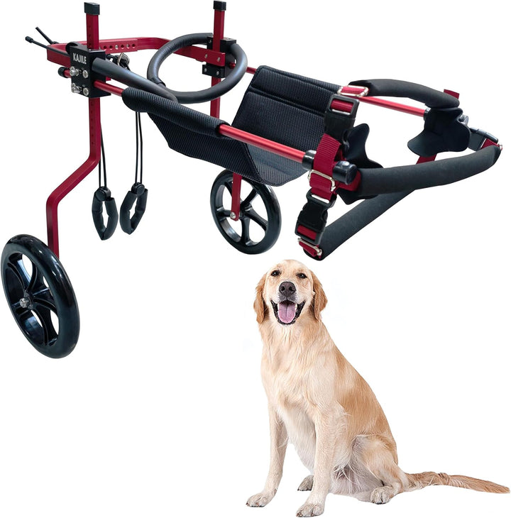 KAJILE Verstellbarer 2-Rad-Hunderollstuhl, XXL-2 Grösse für behinderte Hunde Hinterbeine Rehabilitat