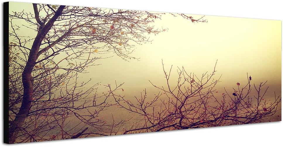 Paul Sinus Art Panoramabild auf Leinwand und Keilrahmen 150x50cm Herbst Bäume Äste Nebel Vintage