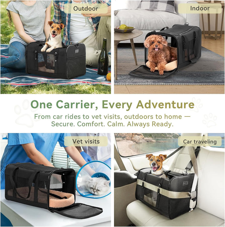 Petsfit Transporttasche Katze für Auto, Hundetasche mit Gurtschnalle Transportbox Katze mit weichen