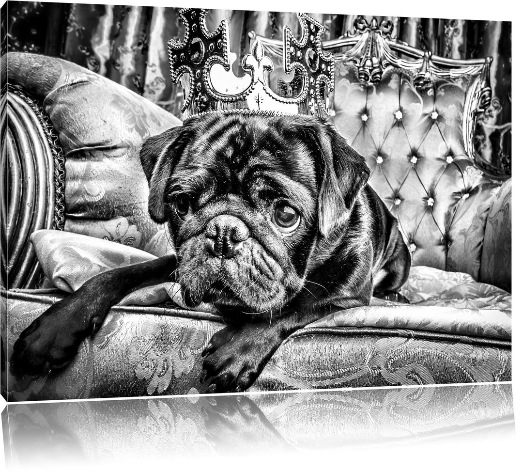 Pixxprint Süsser Mops auf dem Thron als Leinwandbild/Grösse: 100x70 / Wandbild/Kunstdruck/fertig bes