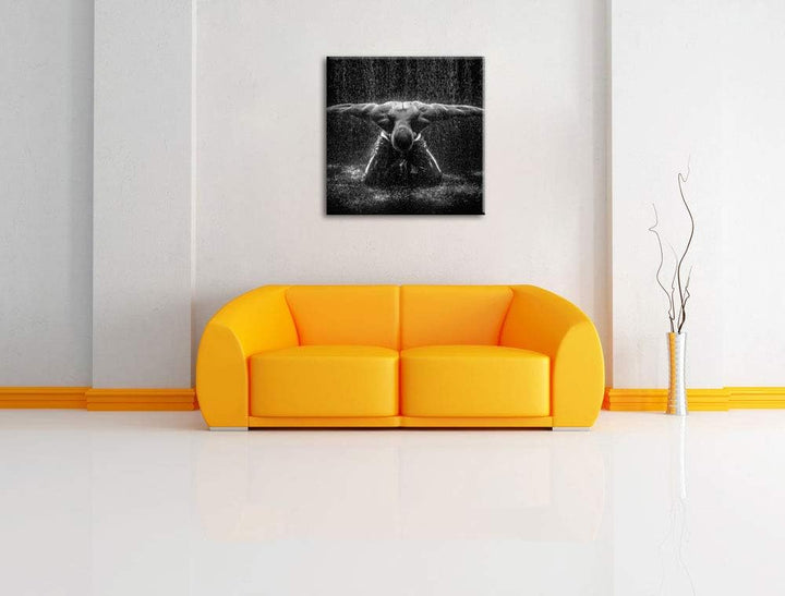 Bodybuilder im Regen, Format: 70x70 auf Leinwand, XXL riesige Bilder fertig gerahmt mit Keilrahmen,