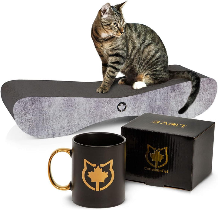 CanadianCat Company | Black Edition - Set | Kratzbrett Satellite 2.0 betonoptik + Limitierte Tasse L
