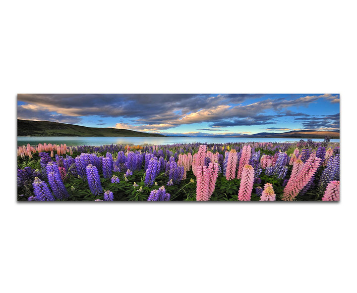 Paul Sinus Art Panoramabild auf Leinwand und Keilrahmen 120x40cm Neuseeland Blumenwiese Berge See Na