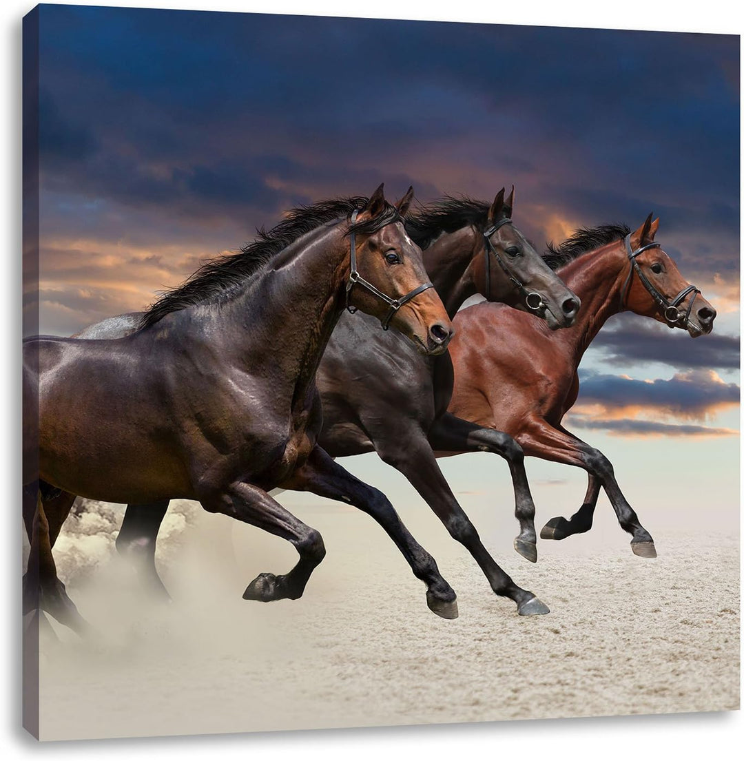 Drei wilde Westernpferde, Format: 70x70 auf Leinwand, XXL riesige Bilder fertig gerahmt mit Keilrahm