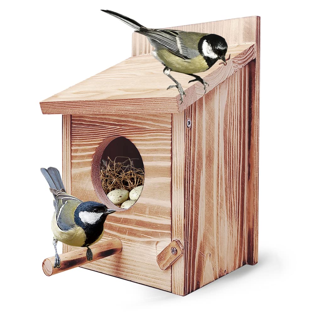 Nistkasten Bausatz Rotkehlchen, Nistkasten für Meise, Vogelhaus Wetterfest aus Holz, Vogelhäuschen Z
