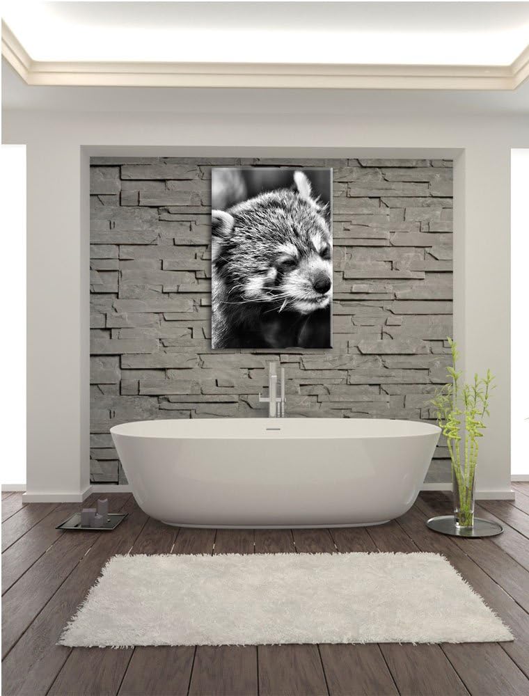 Pixxprint Monocrome, Kleiner Panda SAGT Hallo, Format: 100x70 auf Leinwand, riesige Bilder fertig ge