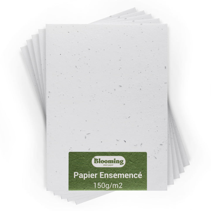 BLOOMING Aussaatpapier - 50 Blatt - DIN A6 150 g/m² - 10,5 x 15 cm - weiss - Blanko - biologisch abb