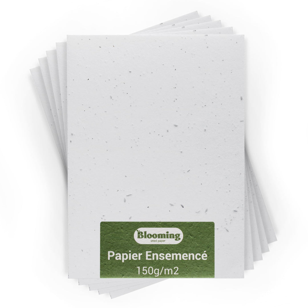 Blooming Seed Paper – 50 Blätter zum Pflanzen – DIN A4 150 g/m² – 21 x 30 cm – Weiss – Blanko – Biol