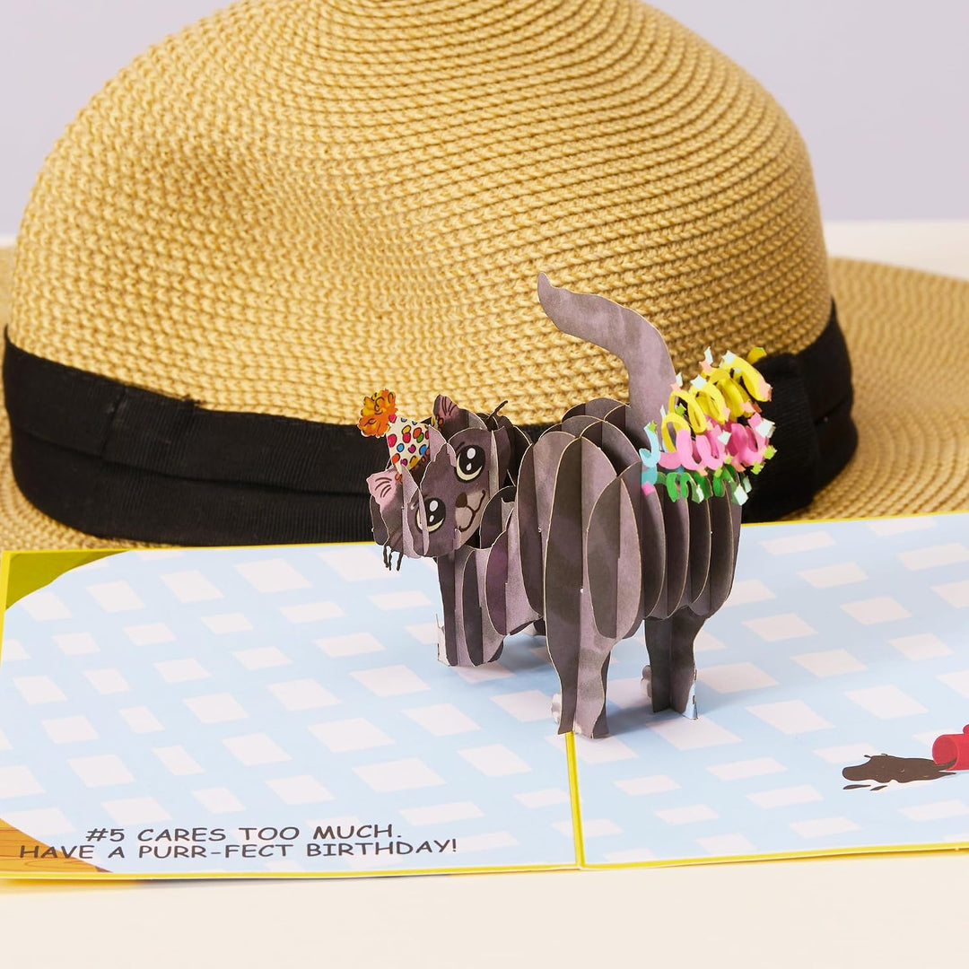 Dirty Pop Cards,Purr-fect 3D-Pop-Up-Karte, Katzenkonfetti, lustige Geburtstagskarte, Katze Mama oder