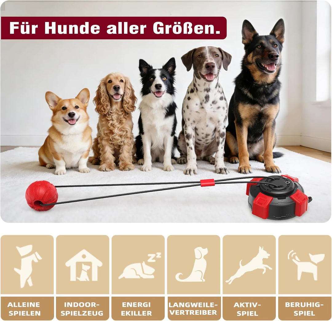 Interaktives Hundespielzeug zum Tauziehen, Hunde Spielzeug mit Saugnapf gegen Langeweile, Hundepuzzl