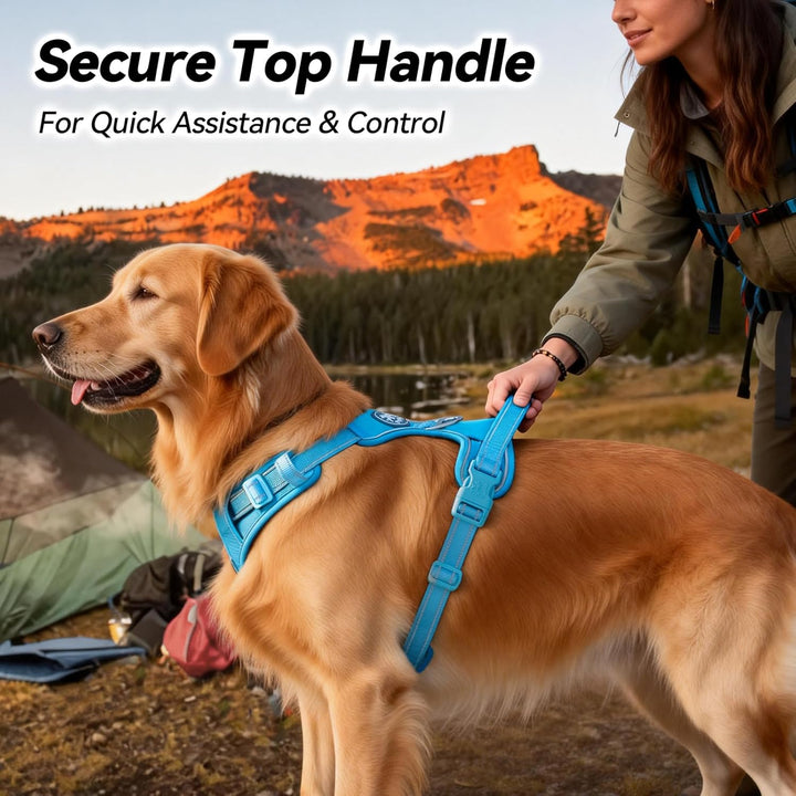 PoyPet Keine Pull Hundegeschirr, Reflektierendes Hundegeschirr für Hunde ohne Choke, Verstellbare, w