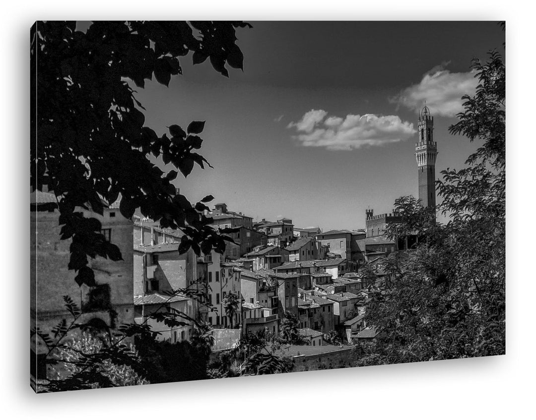 deyoli die Stadt Pisa in Italien Effekt: Schwarz/Weiss Format: 100x70 als Leinwand, Motiv fertig ger