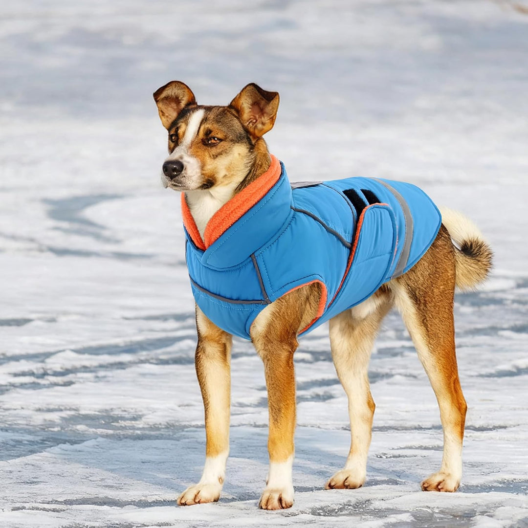 CITÉTOILE Wasserdichter Hundemantel mit Leinenöffnung Blau S | Zweifarbige Hundejacke mit Klettversc