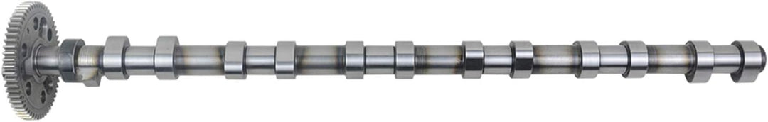 Einlass Nockenwelle 11317791579 Kompatibel mit 3er 5er 6er 7er X3 X5 X6 E46 E90 E91 E92 E93 E39 E60