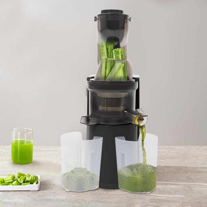 Leiser Entsafter mit 98,5% Saftausbeute – Slow-Press-Technologie &amp; 48 U/min