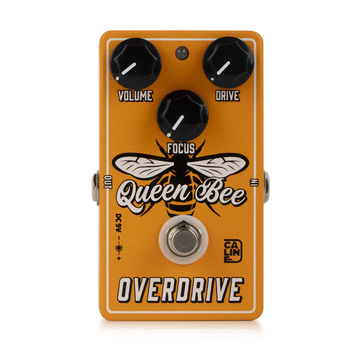 Caline CP-503 »Queen Bee« Overdrive | Boden-Effektgerät CP503, CP503